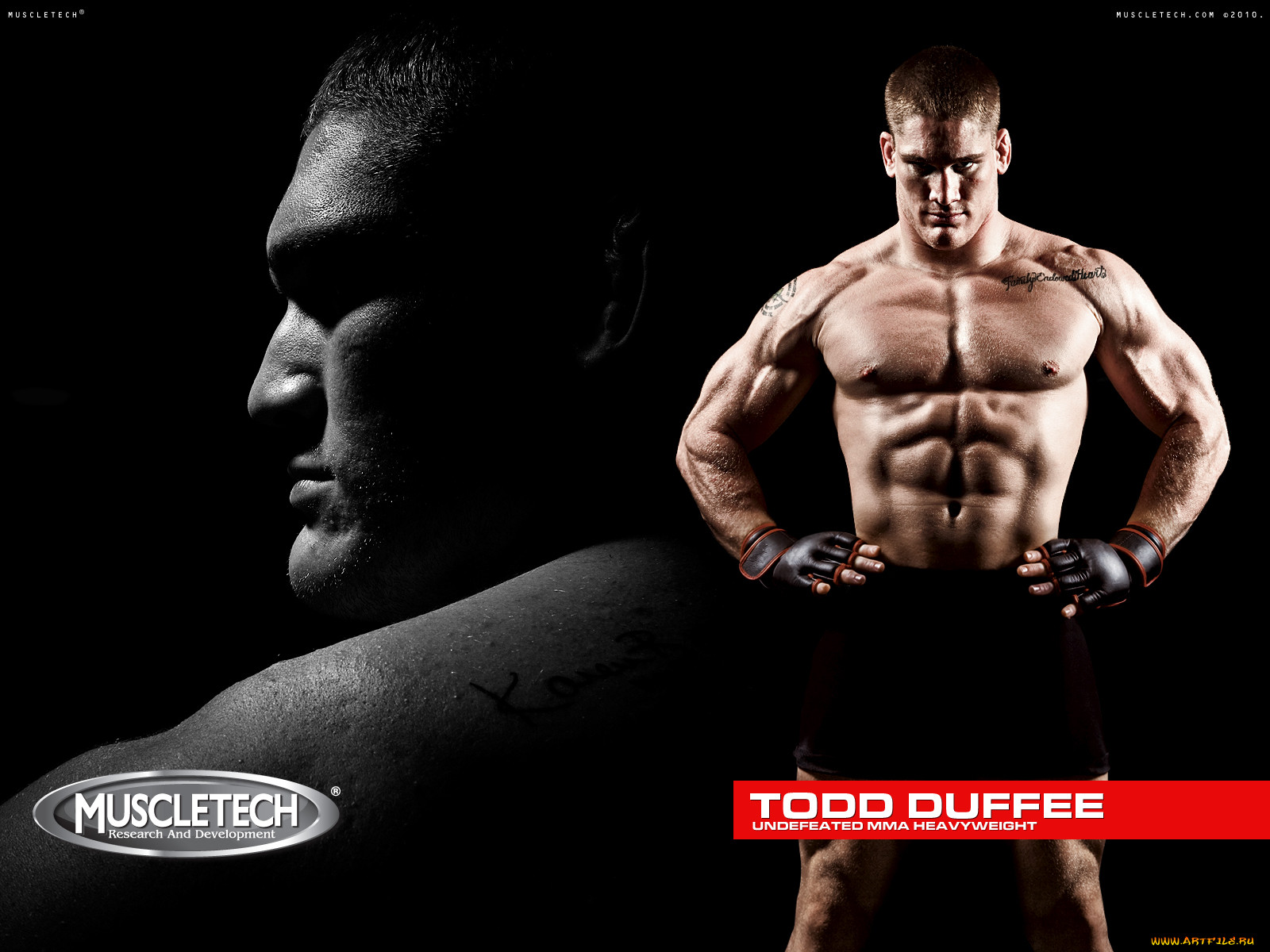 muscletech, , todd, duffee